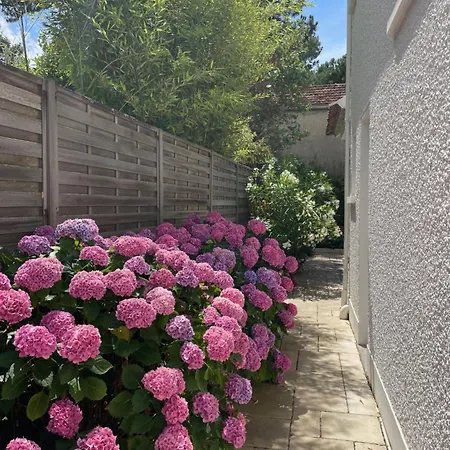 Floria By Tah, Bauloise, Downtown Within Walking Distance Villa
